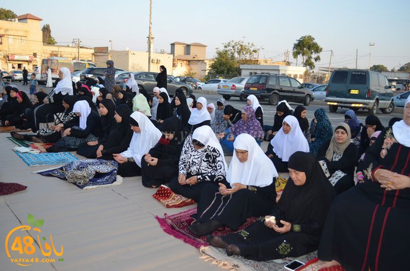 lud salah 3eed hq (5).JPG